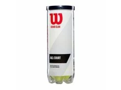 Wilson Wilson Grand Slam All Court Single Can